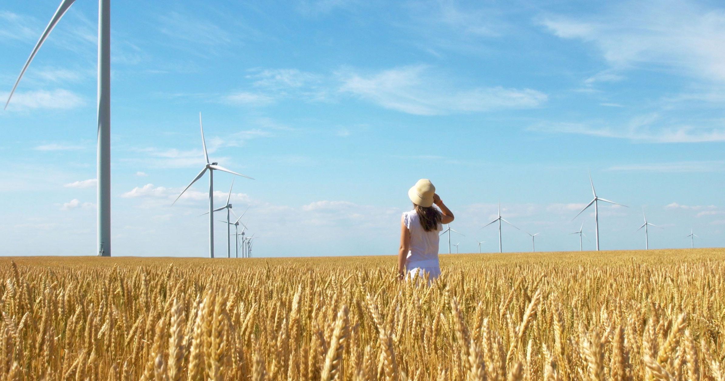 Woman standing in wheat fields with windmills that generate sustainable energy.